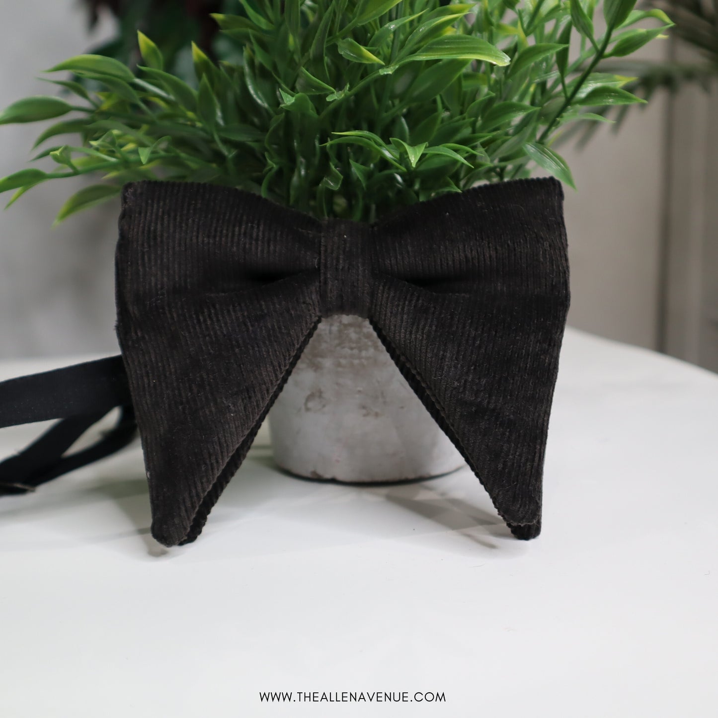 The Noir Corduroy Pointy Bow-Tie